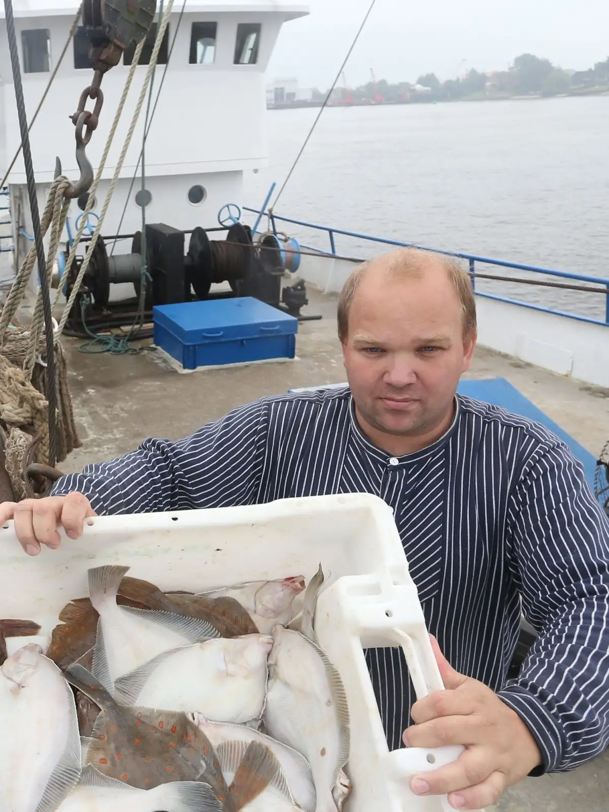 Fisch Direkt Vom Kutter