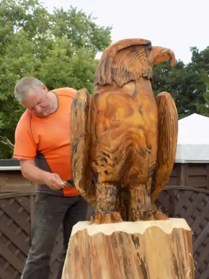 Bruno Gerdes aus Bokel erschafft als Kettensägenkünstler Holzskulpturen.