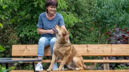 Tierheimleiterin Heidi Seekamp mit Hund Simba: Gerade Hunde binden sich eng an den Menschen an, eine Anschaffung sollte gut überlegt sein, rät die Expertin.