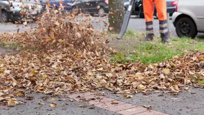 Streit ums Laub: Die Grünen-Fraktion möchte den Einsatz von motorbetriebenen Bläsern beschränken.