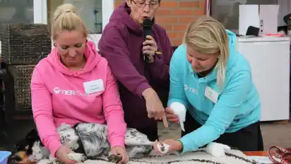 Beim Fest im Tierheim Arche Noah soll auch wieder die Erste Hilfe am Hund gezeigt werden.