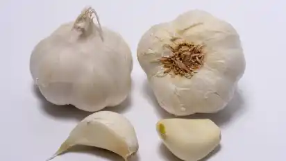 Tipp 3: Knoblauch Frisch geschnittene Konblauchzehen sollen die Wespen von dem Essen fernhalten. Expertenmeinung: Quatsch! Der Geruch wird nicht helfen, die Wespen vom Esstisch zu vertreiben.