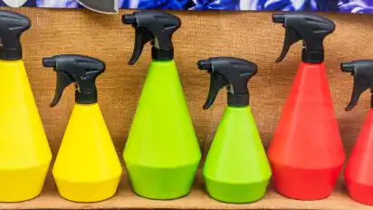 Tipp 2: Wasser aus der Sprühflasche Sinnvoll: Laut dem Nabu Bremen hat es sich bewährt, Leitungswasser in eine Sprühflasche zu füllen und die Wespen damit zu besprühen. Diese denken dann, es fängt an zu regnen und nehmen reißaus.