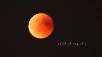 Steffi Zeimke hat die Mondfinsternis von der Dachterrasse aus erlebt, schreibt sie uns zu diesem Bild.