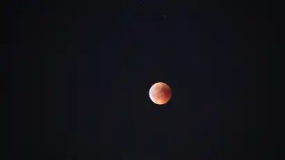 Blutrot zeigte sich der Mond am späten Freitagabend über Woltmershausen.