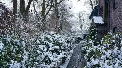 "Ist vielleicht nicht so spektakulär, aber hübsch anzusehen, wenn man morgens vor der Haustür so begrüßt wird", schreibt Facebooknutzer Marcus Wiedelmann unter sein gepostetes Foto.