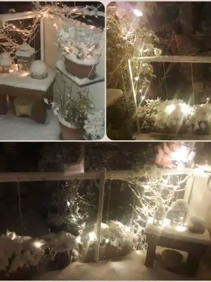 Eine Nutzerin namens "Sissi" hat diese kleine Collage an Fotos zusammengestellt.