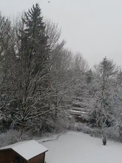 Einen Blick in ihren verschneiten Garten in Bremen-St. Magnus gewährt Christa Lehmann über Facebook.