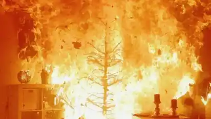 Innerhalb von Minuten kann ein Weihnachtsbaum niederbrennen und das Zimmer in Flammen setzen. Dabei entstehen Temperaturen von bis zu 600 Grad. Foto: IFS