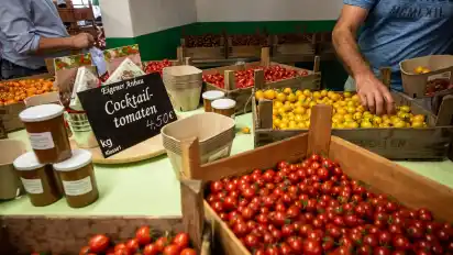 Nur eine kleine Auswahl aus dem großen Angebot: verschiedene Sorten Cherrytomaten.