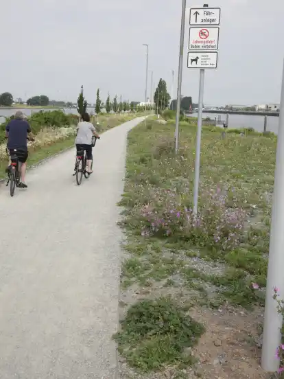 Zwischen Blumen und Bäumen hindurch führt dieser Weg direkt zum Molenturm.