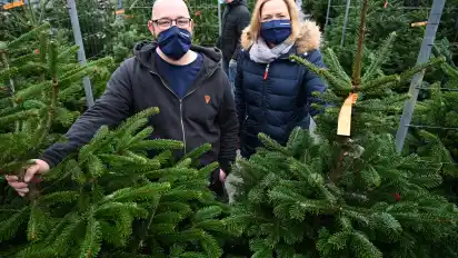Florian Kollek und Ute Lipp vom Möbelhaus kümmern sich im Advent um den Verkauf von mehr als 13 000 Bäumen, die bei Bedarf vor Ort zurechtgeschnitten werden.