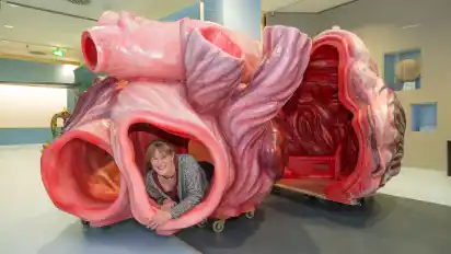 Kuratorin Angelika Stiller-beer testet das Blauwalherz im Übersee-Museum.