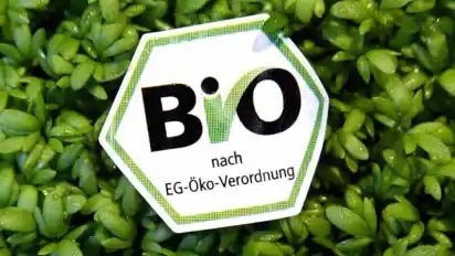 Labelchaos im Supermarkt: Bio-Siegel zur Orientierung