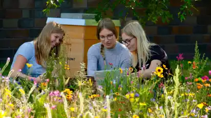 Die "Azubees" vor ihrem Bienenstock (von links): Sarah Tonne, Lynn Bode und Anna Dombrowski.