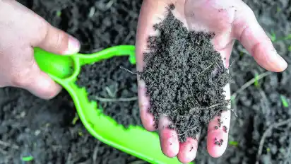 Bodenqualität lässt sich verbessern