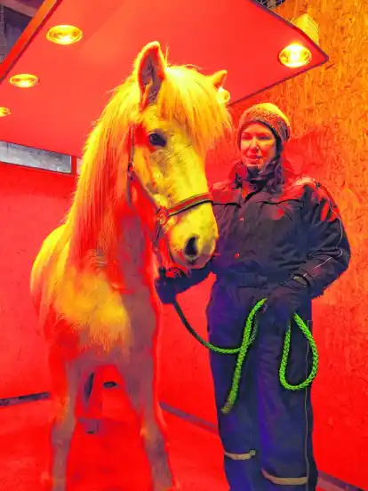 Gönnt ihrem Islandpferd Haffari einen Abstecher ins Solarium: Monika Kasperczyk.