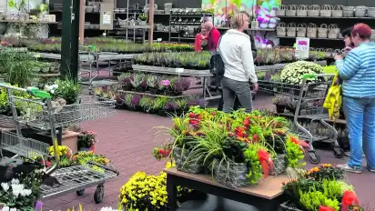 47+ Fleur Garten Ganderkesee Öffnungszeiten, Fleur garten