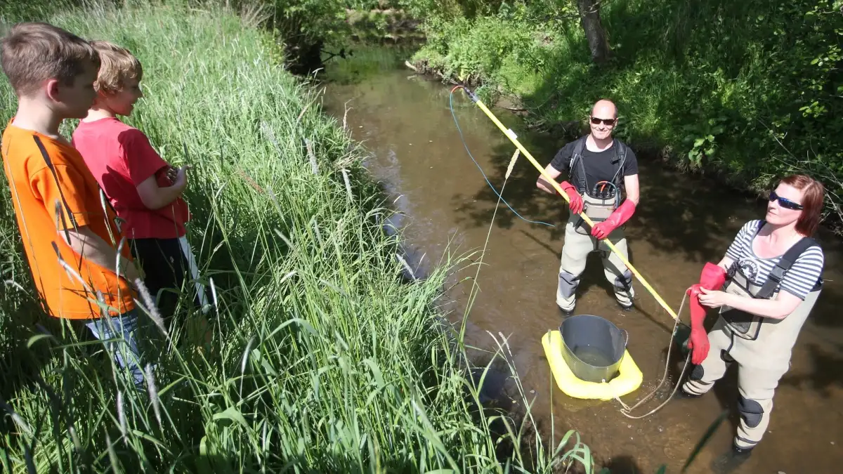 Mit Strom auf Fischjagd