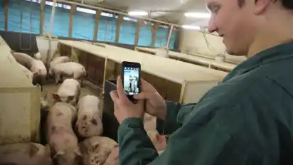 Junglandwirte im Internet