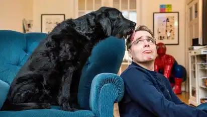 Eine Muse namens Max: David Safiers Labradoodle diente als Inspiration für eine der Figuren in seinem neuen Buch "Die Ballade von Max und Amelie".