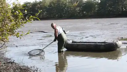 Fischer Horst Gischewski holte die Tiere vor dem Abpumpen aus dem See.