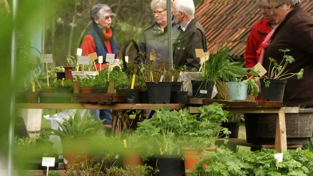 Raritäten für den eigenen Garten