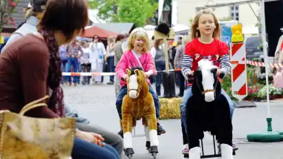 Das Maifestival im historischen Ortskern Vilsen bietet auch in diesem Jahr ein abwechslungsreiches Programm für Kinder und Erwachsene. Foto: Udo Meissner