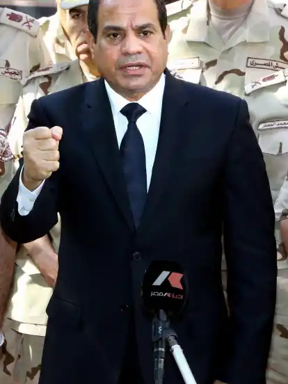 Seit einem Jahr ist Abdel Fattah al-Sisi Präsident Ägyptens. Heute wird er in Berlin zu einem Staatsbesuch erwartet.