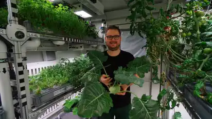 Hier zeigt DLR-Forscher Paul Zabel den Kohlrabi, den er während seiner Zeit in der Antarktis im Gewächshaus geerntet hat.