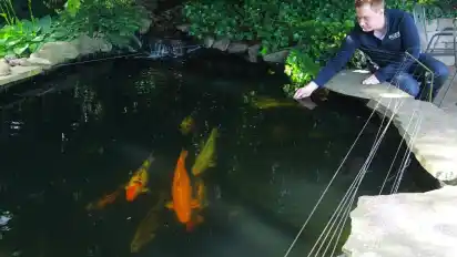 Wie ein Hecht im Karpfenteich