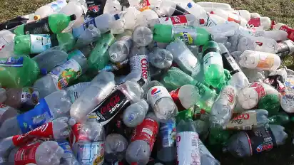 Plastikmüll stellt eine große Bedrohung für die Umwelt dar.