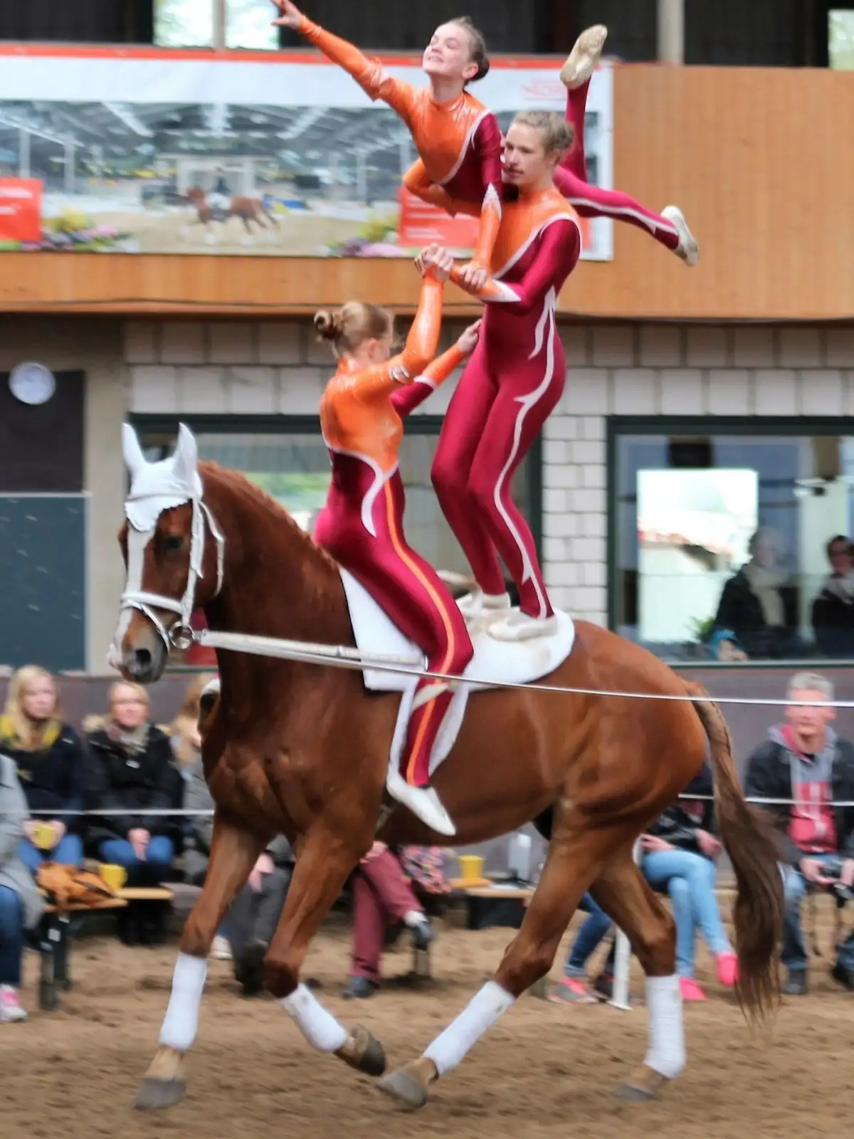 voltigiererinnen 