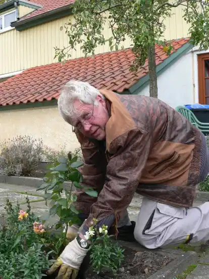 Wo die roten Herzkirschen wuchsen