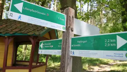 Bei Göhrde (Niedersachsen), wurden im Jahr 1989 zwei Doppelmorde verübt (Archivbild).