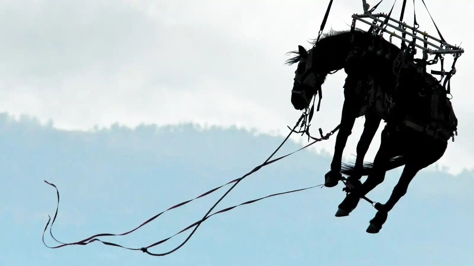 Fliegendes Pferd
