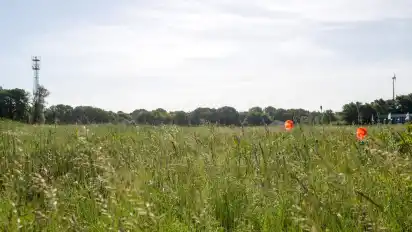 Grüne Wiese im Bremer Osten ganz nahe zu Niedersachsen – was würde es für das nachbarschaftliche Verhältnis bedeuten, wenn dort auf 50.000 Quadratmetern ein Möbelladen gebaut wird?