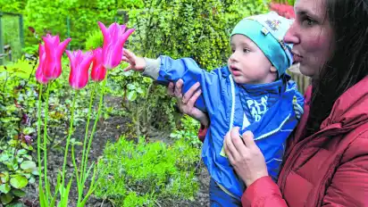 Auch für kleine Kinder bietet der Blindengarten Pflanzen zum Anfassen und Schnuppern. Ann-Catrin Rieke zeigt ihrem Sohn Emilian, was derzeit grünt und blüht (Foto links). Heidi Ganser-Drejka (von links), Julian Janssen und Edith Kranz würden sich über weitere Unterstützung für den Blindengarten freuen.