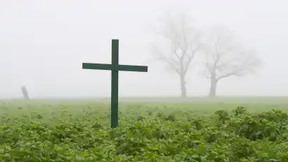 Ein grünes Kreuz steht als Mahnmal der Landwirte auf einem Feld im Landkreis Hildesheim.