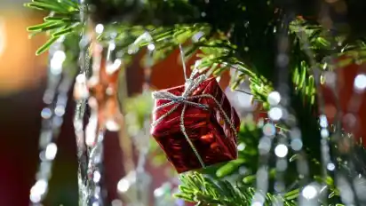 Weihnachten bedeutet nicht für alle Familien Baum und Lametta. Wir stellen verschiedene Traditionen vor.