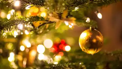 Ein festlich erleuchteter Christbaum gehört für die meisten Bremer zu Weihnachten dazu.