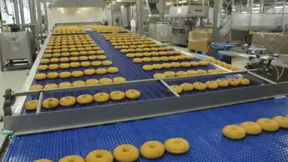 Hunderte von Donuts laufen tagtäglich vom Band.