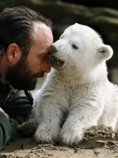 Eisbär Knut als Baby zusammen mit seinem Ziehvater, dem Tierpfleger Thomas Dörflein.