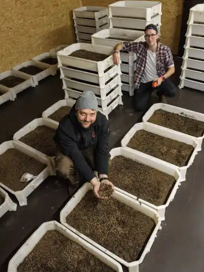 In Kunststoffboxen tummeln sich die Larven. Die Gründer Florian Berendt (vorne links) und Norman Breitling sehen die Insekten als kleine Weltretter.