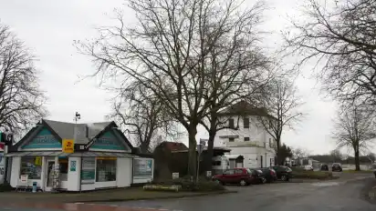 Die Platane gleich neben dem Kiosk soll am Dienstag gefällt werden.