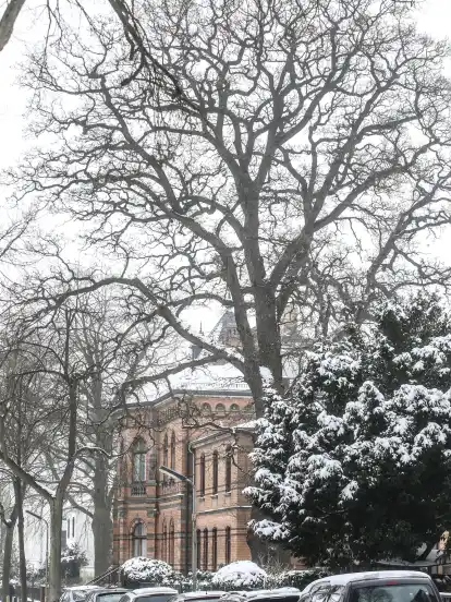 Villa Schröder in Weserstraße.