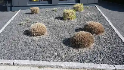 Schottergärten sind auf dem Vormarsch - und für die Natur wertlos. Das Bauamt des Landkreises Osterholz erläutert in einem Faltblatt die Einzelheiten.