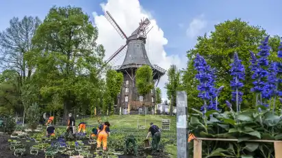 14 Bäume gepflanzt Bremer WallMühle endlich sommerlich