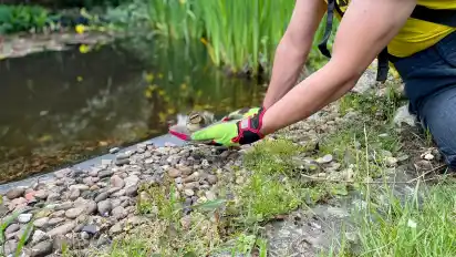 Tierischer Einsatz Schierbroker Feuerwehr rettet Küken