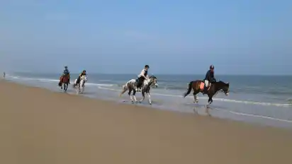 Im Galopp geht es an der Wasserkante entlang über den Nordstrand.